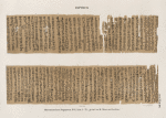Papyrus. Hieratischer Papyrus. No. I, Lin. 1-77.