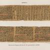 Papyrus. Hieratischer Papyrus. No. I, Lin. 154-234. [jetzt im K. Museum zu Berlin.]