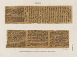 Papyrus. Hieratischer Papyrus. No. I, Lin. 154-234. [jetzt im K. Museum zu Berlin.]