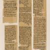 Papyrus. Hieratischer Papyrus. No. II, Vorderseite, Lin. 244-255 ; Rückseite, Lin. 1-70. [jetzt im K. Museum zu Berlin.]