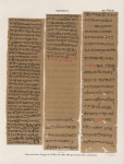 Papyrus. Hieratischer Papyrus. No. III,  Lin. 108-180. [jetzt im K. Museum zu Berlin.]