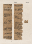 Papyrus. Hieratischer Papyrus. No. IV,  Lin. 84-143. [jetzt im K. Museum zu Berlin.]