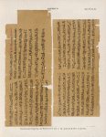 Papyrus. Hieratischer Papyrus aus Theben [Thebes]. No. V,  Lin. 1-31. [jetzt zu K. Museum zu Berlin.]