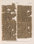 Papyrus. Hieratischer Papyrus aus Theben [Thebes]. No. VII,  Lin. 1-45. [jetzt im K. Museum zu Berlin.]