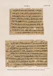 Papyrus. Hieratischer Papyrus aus Theben [Thebes]. No. VII,  Lin. 46-64. [jetzt im K. Museum zu Berlin.]
