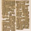 Papyrus. Hieratischer Papyrus aus Theben [Thebes]. No. VII,  Lin. 65-105. [jetzt im K. Museum zu Berlin.]