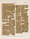 Papyrus. Hieratischer Papyrus aus Theben [Thebes]. No. VII,  Lin. 65-105. [jetzt im K. Museum zu Berlin.]