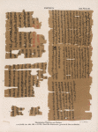 Papyrus. Hieratischer Papyrus aus Theben [Thebes]. No. VII,  Lin. 106-138. [jetzt im K. Museum zu Berlin.]