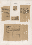 Papyrus. Demotische Papyrus. No. I-III. [jetzt im K. Museum zu Berlin.]