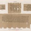 Papyrus. Demotische Papyrus. No. IV. V. [jetzt im K. Museum zu Berlin.]