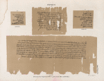 Papyrus. Demotische Papyrus. No. IV. V. [jetzt im K. Museum zu Berlin.]