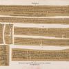 Papyrus. Demotische Papyrus. No. VI-VIII. [jetzt im K. Museum zu Berlin.]