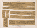 Papyrus. Demotische Papyrus. No. VI-VIII. [jetzt im K. Museum zu Berlin.]