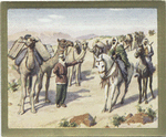 The Syrian Desert. A Camel Caravan.