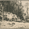 Paysage : troupeau de vaches.