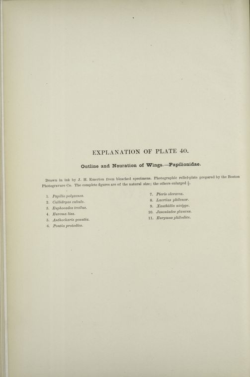 Index