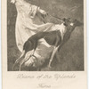 Diana of the Uplands, by C.W. Furse.