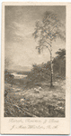 The Birch, The Rowan, and The Pine, by John MacWhirter, R.A..