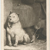 Low Life, by Sir Edwin Landseer, R.A..