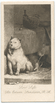 Low Life, by Sir Edwin Landseer, R.A..
