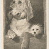 Dignity and Impudence, by Sir Edwin Landseer, R.A..