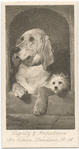 Dignity and Impudence, by Sir Edwin Landseer, R.A..