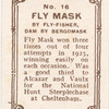 Fly Mask.
