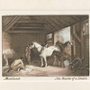 The Inside of a Stable.
