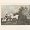 A Landscape.