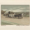 A Wagon and a Team of Horses.