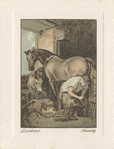 Shoeing.