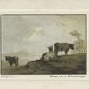 Cows in a Landscape.