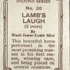 Lamb's Laugh.