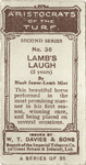 Lamb's Laugh.