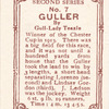The Guller.