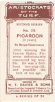 Picaroon.