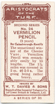 Vermilion Pencil.