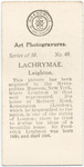 Lachrymae, by Sir Frederick Leighton.
