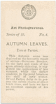 Autumn Leaves, by Ernest Parton.