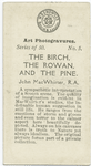 The Birch, The Rowan, and The Pine, by John MacWhirter, R.A..
