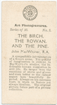 The Birch, The Rowan, and The Pine, by John MacWhirter, R.A..