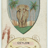 Ceylon.