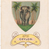 Ceylon.