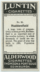 Huddersfield.