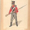 Denmark, 1800-14