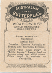 Acraea Andromacha.