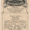 Danaida Affinis.
