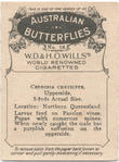 Cethosia Chrysippe.