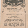 Doleschallia Australis.