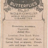 Hypocysta Euphemia.